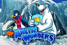 Arctic Wonders-Habanero