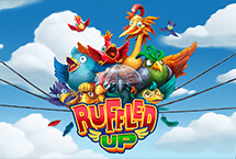 Ruffled Up-Habanero