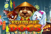Fortune Dogs-Habanero