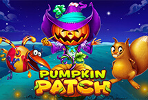 Pumpkin Patch-Habanero
