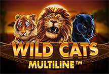 Wild Cats Multiline-Red Tiger