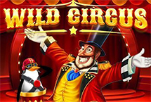 Wild Circus-Red Tiger